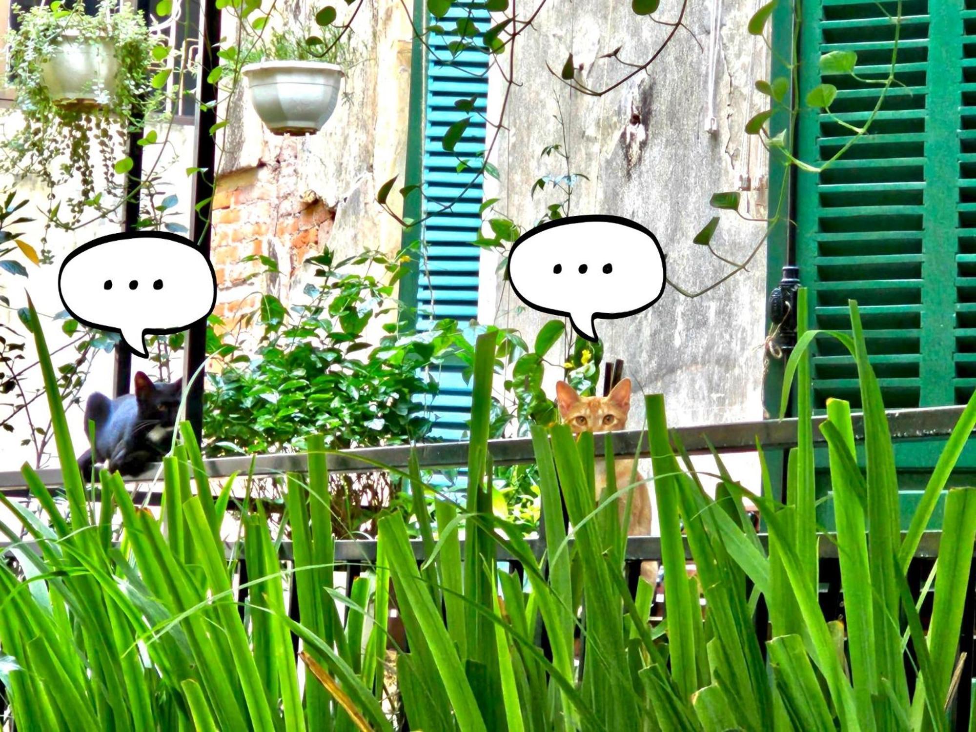 Azalea Apartment Hanoi Luaran gambar