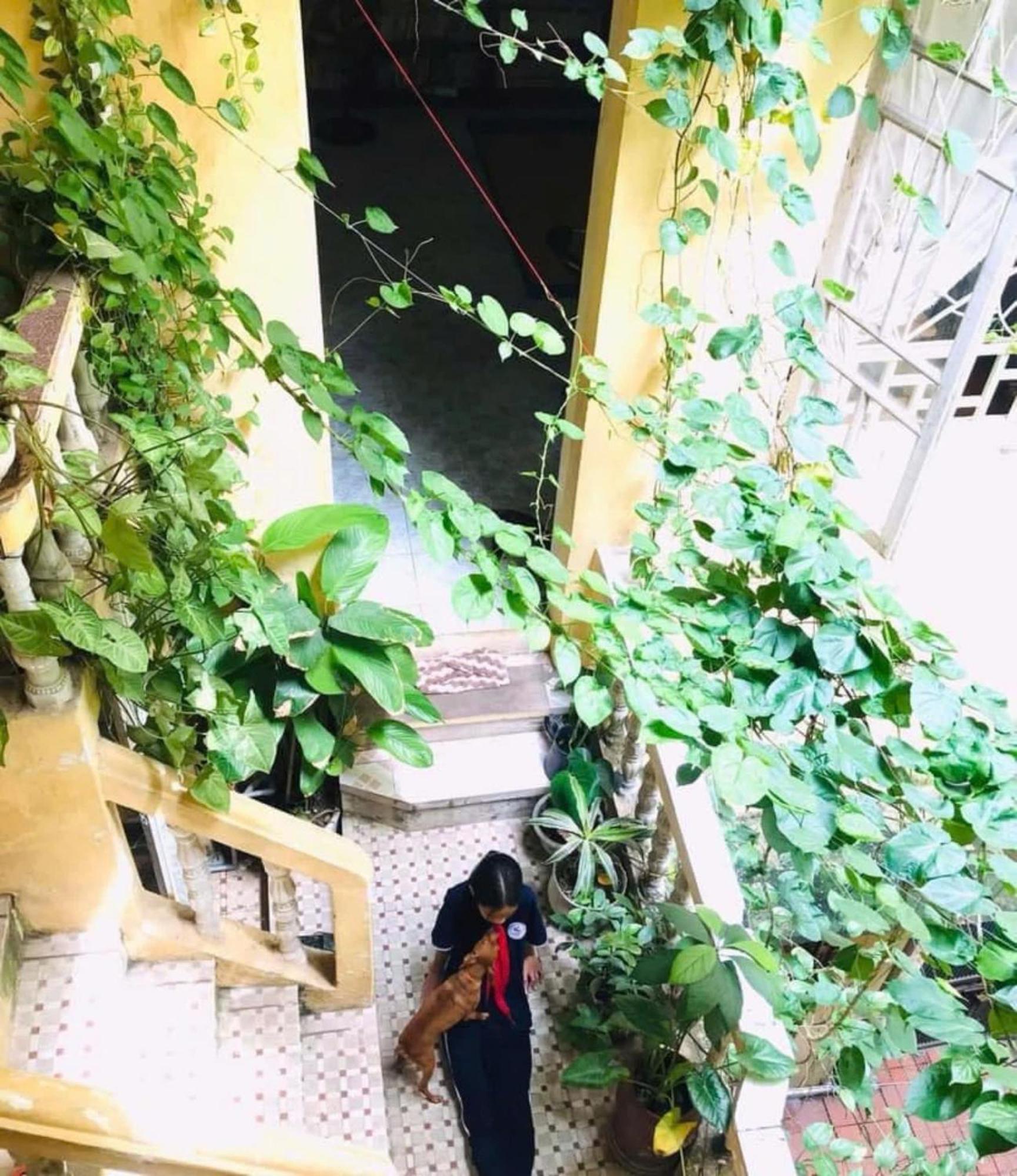 Azalea Apartment Hanoi Luaran gambar