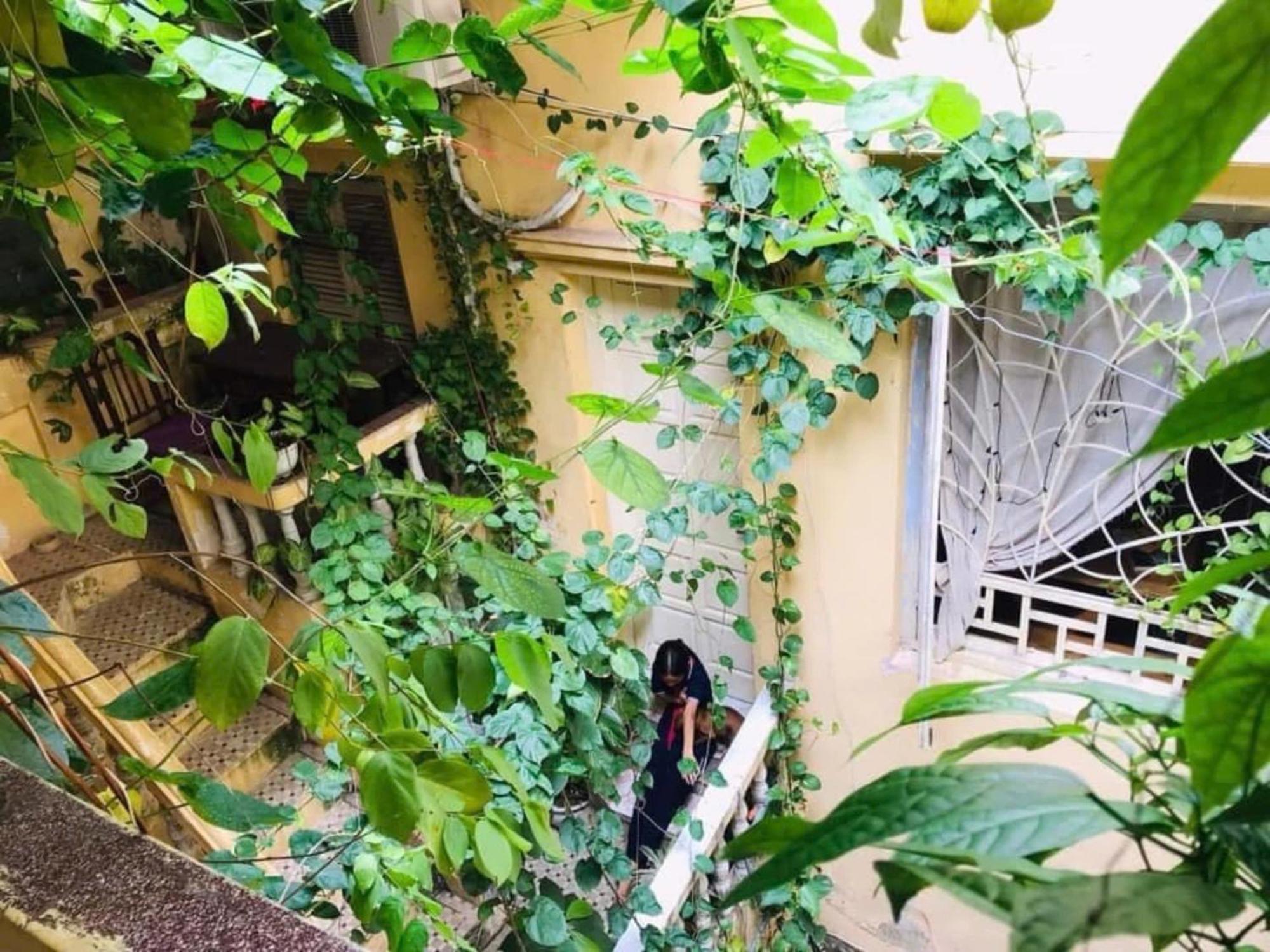 Azalea Apartment Hanoi Luaran gambar