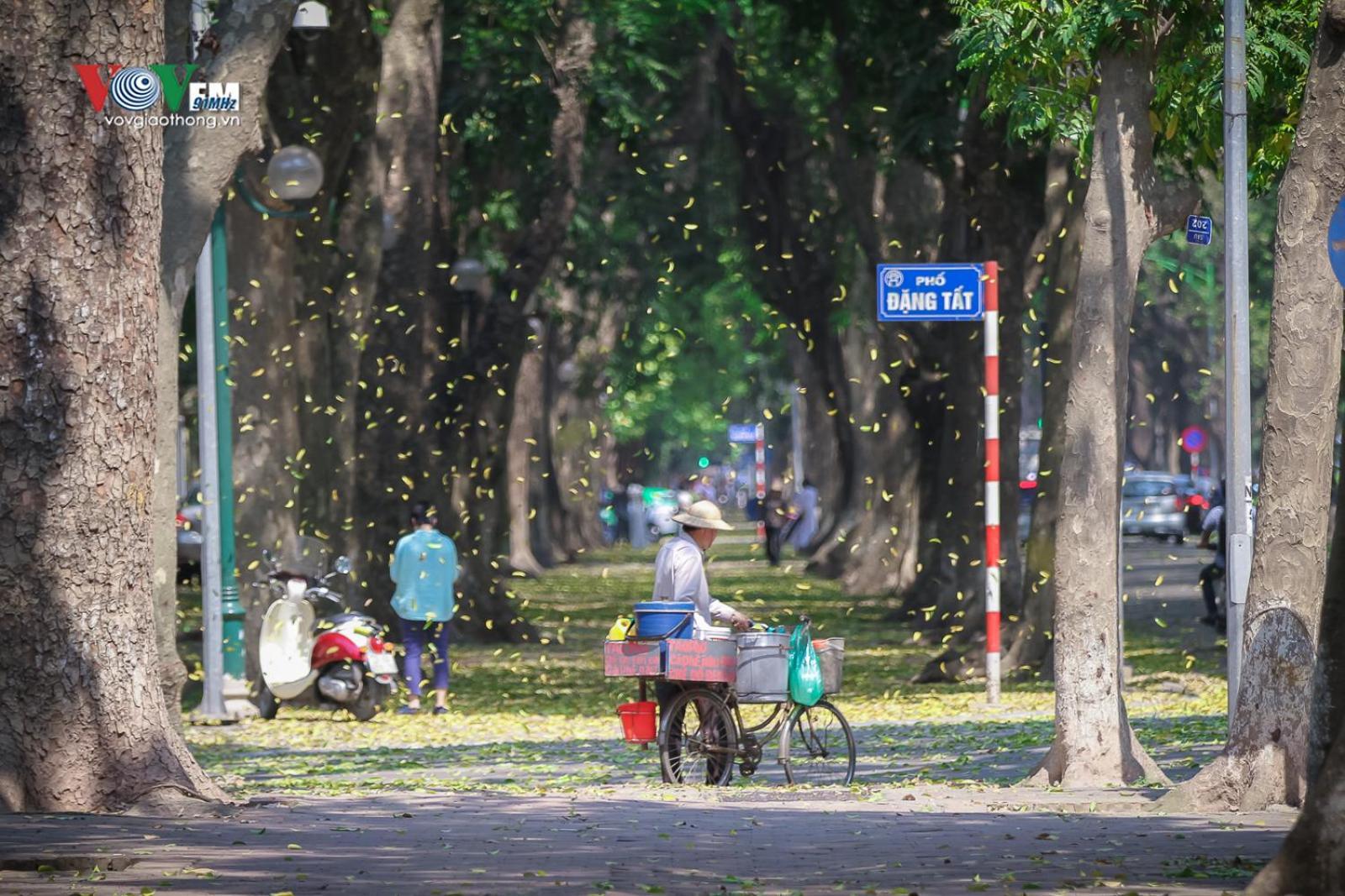 Azalea Apartment Hanoi Luaran gambar